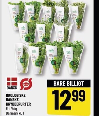 Løvbjerg ØKOLOGISKE DANSKE KRYDDERURTER tilbud