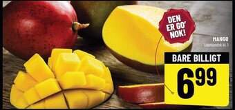 Løvbjerg MANGO tilbud