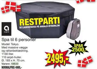 Harald Nyborg Spa til 6 personer tilbud