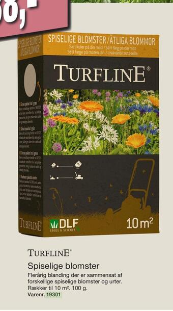 Harald Nyborg Spiselige blomster tilbud