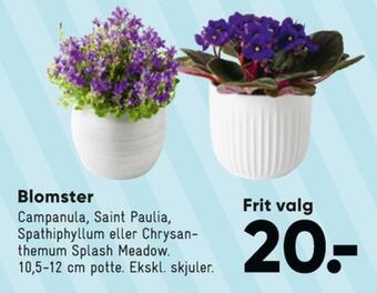 Bilka Ukendt planter tilbud