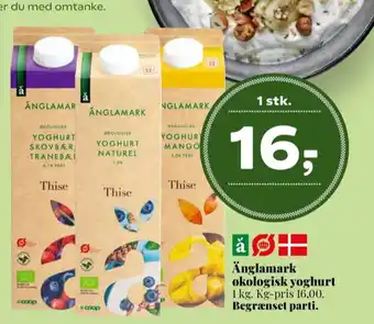 Thise yoghurt skovbær tranebær