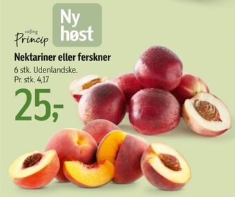 Føtex Salling princip nektariner tilbud