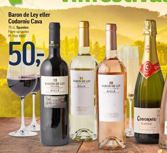 Føtex Ukendt spansk mousserende vin tilbud