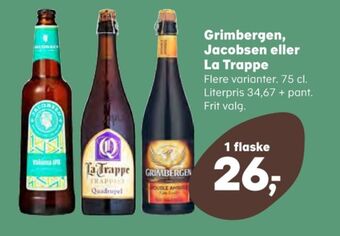Double ambrée specialøl