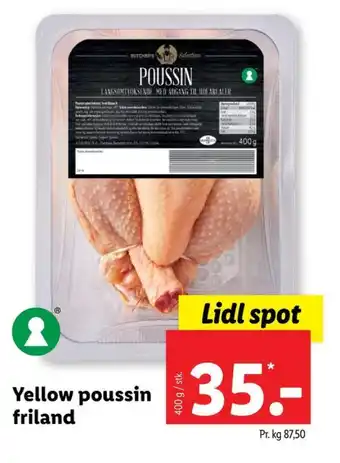 Butchers poussin