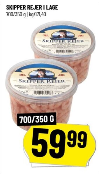 Skipper rejer