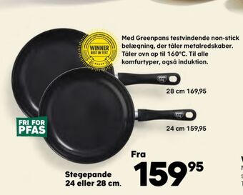 Greenpan stegepande