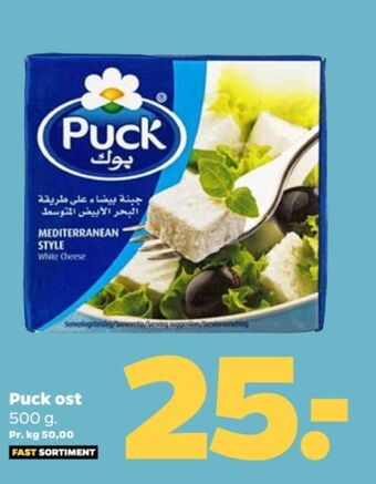Puck salatost