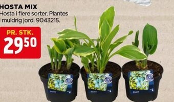 jem & fix HOSTA MIX tilbud