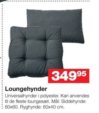 Ukendt hynde