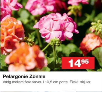 Ukendt planter