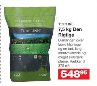 Turfline græsfrø