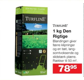 Turfline græsfrø