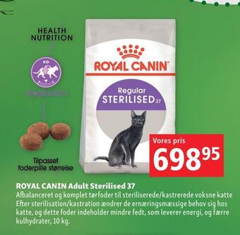 Maxi Zoo Royal canin adult sterilised 37 tilbud