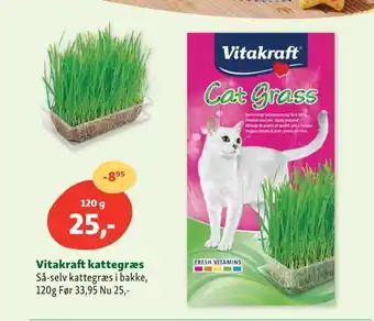 Maxi Zoo Vitakraft kattegræs tilbud