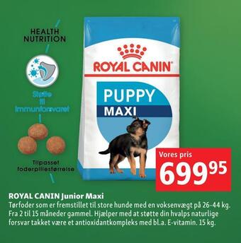 Maxi Zoo Royal canin junior maxi tilbud