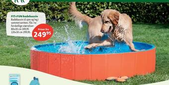 Maxi Zoo Fit+fun badebassin tilbud
