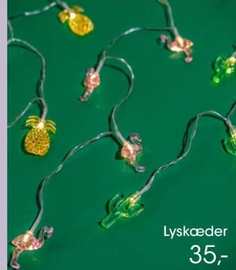 Lyskæder