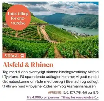 Vitus Rejser Alsfeld & rhinen tilbud