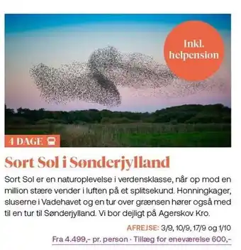 Vitus Rejser Sort sol i sønderjylland tilbud