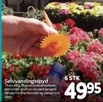 Selvvandingsspyd