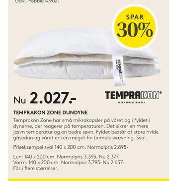 Temprakon zone dundyne