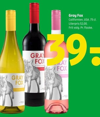 Gray Fox