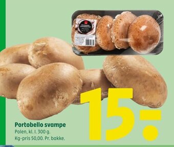 Portobello svampe