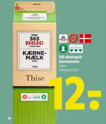 365 økologisk kærnemælk