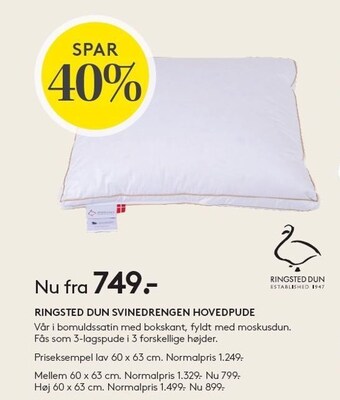SengeSpecialisten Ringsted dun svinedrengen hovedpude tilbud