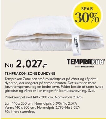 Temprakon zone dundyne