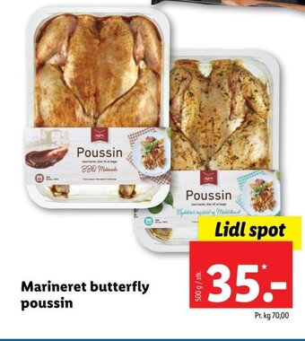 Marineret butterfly poussin