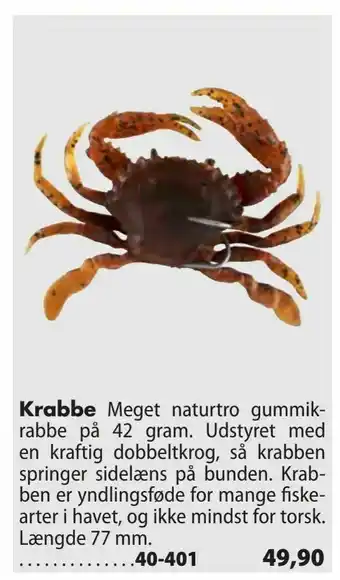 Krabbe