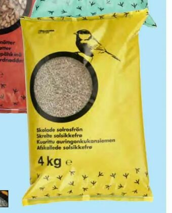 Afskallede solsikkefrø 4 kg