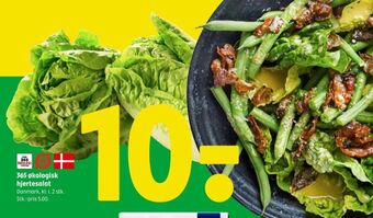 Coop 365 Coop 365 hjertesalat tilbud