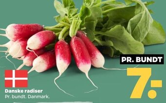 Danske radiser