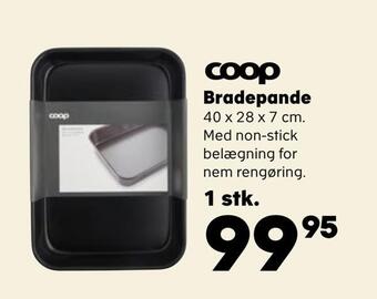 Bradepande