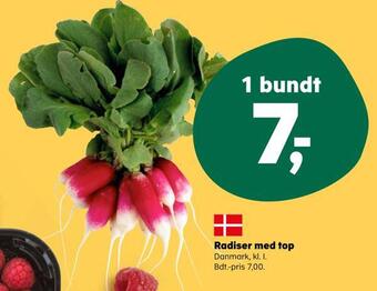 Radiser med top