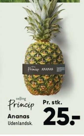 Bilka Ananas tilbud