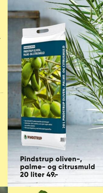 Pindstrup oliven-, palme- og citrusmuld