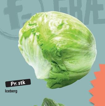 Iceberg