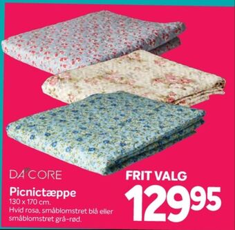 Din Isenkræmmer Dacore picnictæppe tilbud