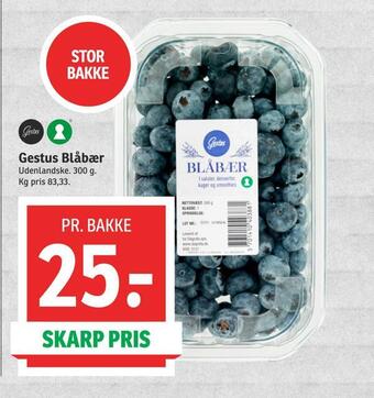 Gestus blåbær