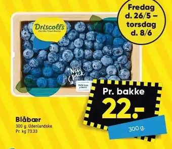 Driscoll's blåbær