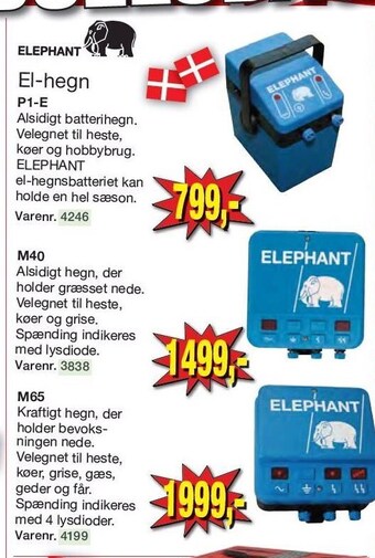 Elephant el-hegn
