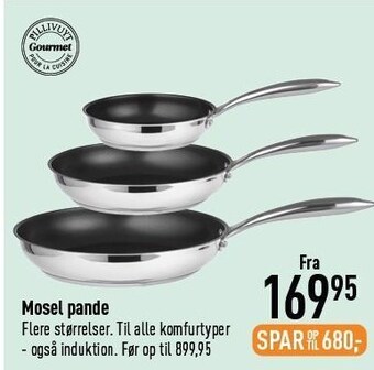 Mosel pande
