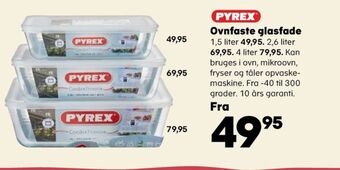 Pyrex fad