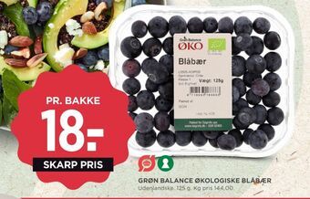 Grøn balance blåbær