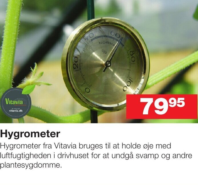 Hygrometer tilbud hos Bauhaus